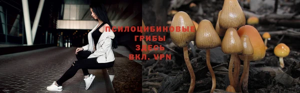 PSILOCYBIN Зеленокумск