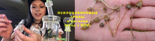PSILOCYBIN Зеленокумск