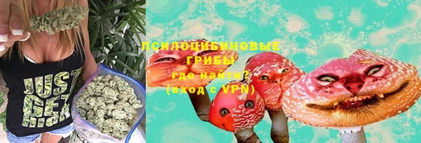 не бодяженный Зеленодольск