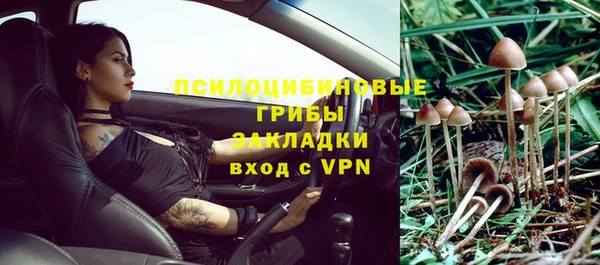 PSILOCYBIN Зеленокумск