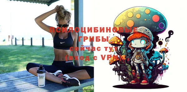 шишки Зерноград